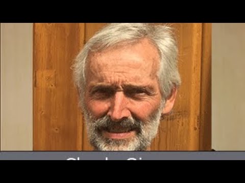 Charly Giesen Gefährdung der Bienen: Konkurrenz sowie die Bedrohung