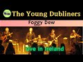 The Young Dubliners Perform Irish Ballad, "Foggy ...