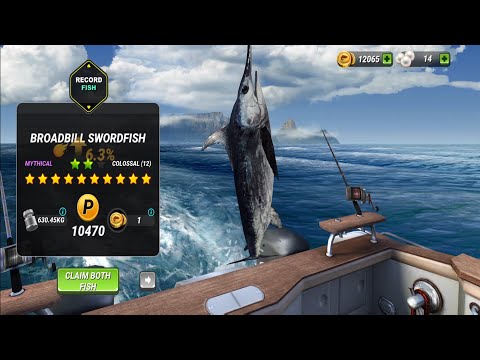 YouTube video about: How to catch 12 starfish in fishing clash?