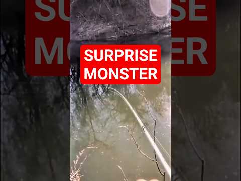 The MONSTER BASS we never saw coming