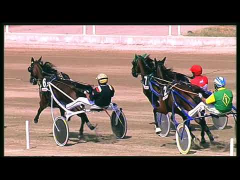 Trotto 18/09/2020 - 2ª corsa