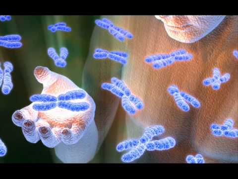 Fave VGM #1246: "Theme of Mitochondria" ~ Yōko Shimomura