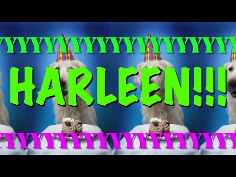 HAPPY BIRTHDAY HARLEEN! - EPIC Happy Birthday Song