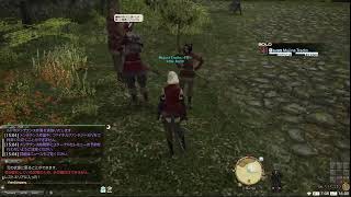 FF14 記録配信「守護天節2023」 シーズナルイベント