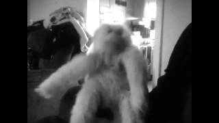 Download lagu Midnightcrewgaming presents-funky  monkey dance  Created with viva video mp3