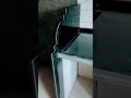 Kitchen Side Parda Design Kitchendesign Kitchen Home Youtubeshorts
