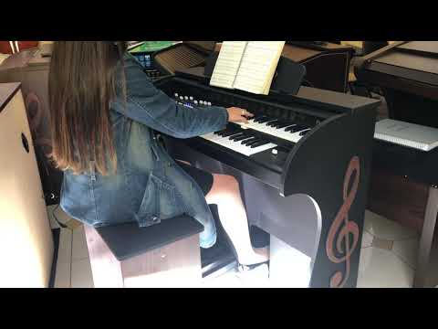 Órgão Eletrônico DIGITAL ACORDES 2D Premium Preto - Loja GUIMARÃES COMERCIAL - Instrumentos Musicais