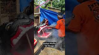 Download lagu kidung wahyu kolosebo #bmtwgayeng #shorts #barongankendal #viralvideo #viralshorts #barongan #ebeg mp3 Download lagu kidung wahyu kolosebo #bmtwgayeng #shorts #barongankendal #viralvideo #viralshorts #barongan #ebeg mp3