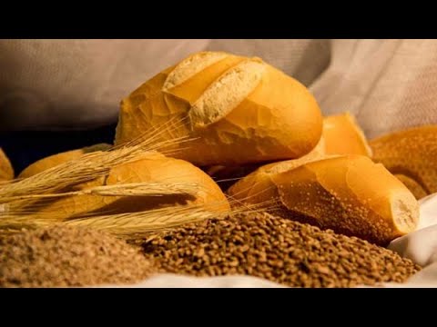 A história do pão Globo Repórter - Canal de Documentários