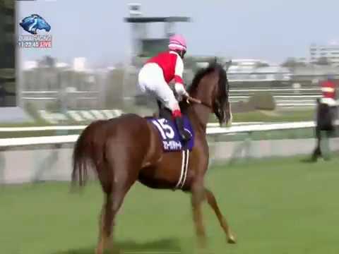 2018.04.01 Osaka Hai (JPN) - Suave Richard