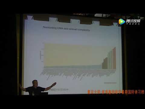 冷泉港Thomas：非编码RNA的研究策略