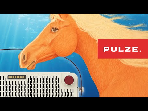Обзор комбоусилителя Hotone Pulze