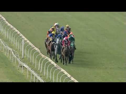 AFRICAN ADVENTURE - WORLD SPORTS BETTING RACING ASSOCIATION HANDICAP