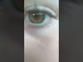 What Is This Color I Can T Tell I Think Its Hazel But Idk