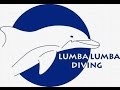 Lumbalumba Diving video from Lars, Lumbalumba Diving, manado, bunaken, Indonesien, sulawesi, tauchen, resort, Lumbalumba Diving Resort, Manado, Sulawesi