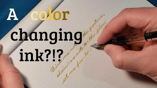 Platinum Citrus Black Review: A Color-changing, Water Resistant Fountain Pen Ink!