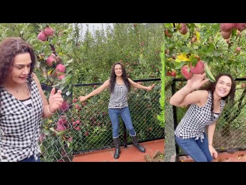 Preity G Zinta Apple Farms Tour In Shimla 