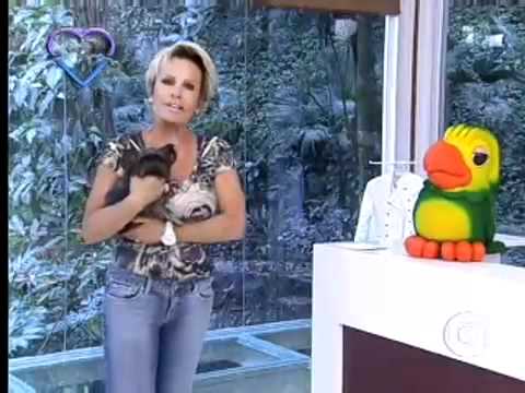Mensagem "Lugar de Mulher" - Ana Maria Braga no Mais Você!