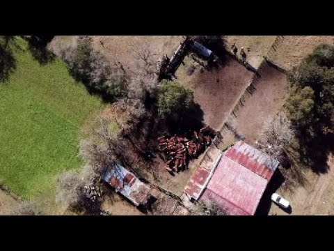 Grupos ganaderos de Polanco en Lavalleja cuentan su experiencia en tierras de Colonización