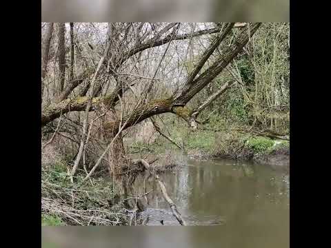 Nagyatád _RINYA_230330