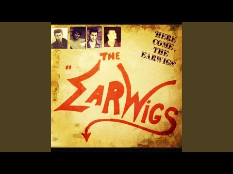 Here Come The Earwigs