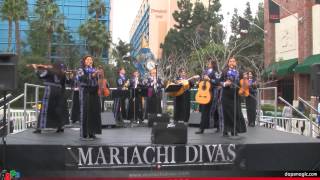 Mariachi Divas de Cindy Shea - Grammy Press Event - Downtown Disney - Disneyland Resort