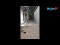 Sekelompok Kera Masuk Pemukiman Desa Proto