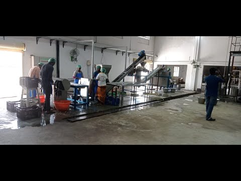 Virgin Coconut Oil Processing Plant Machine Manufacturers