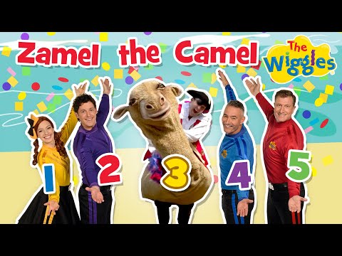 Zamel the Camel Has Five Humps 🐪 Kids Counting Song 🎶 The Wiggles