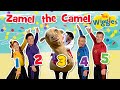 Zamel The Camel Has Five Humps Kids Counting Song The Wiggles