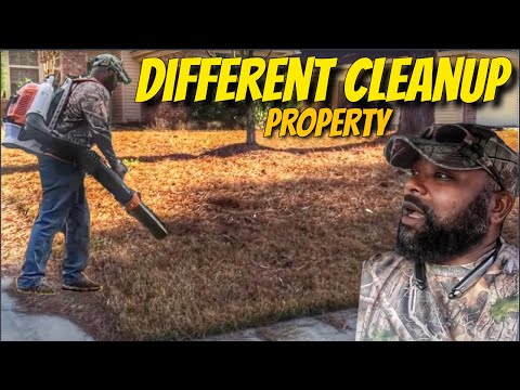 download lagu mp3 mp4 How To Get Pine Needles Out Of Mulch, download lagu How To Get Pine Needles Out Of Mulch gratis, unduh video klip How To Get Pine Needles Out Of Mulch