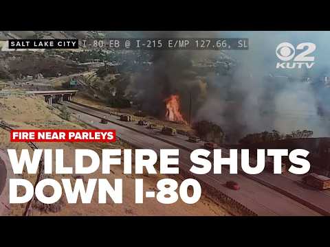 Second fire near Tanner Park raises concerns about wildfire risk