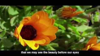 Give us this day (Ward Swingle) - Vasari Singers (Lyrics Added)