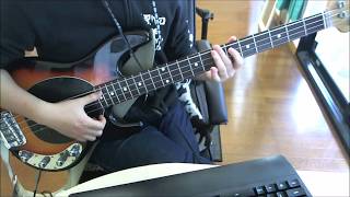 BassCover Superfly - Force