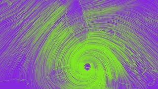 Hurricane Irma Tribute