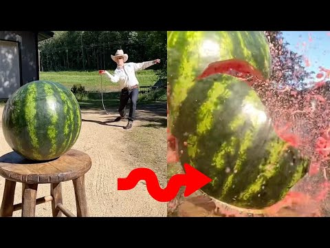 Professional Whip Cracker Shows Off His Skills