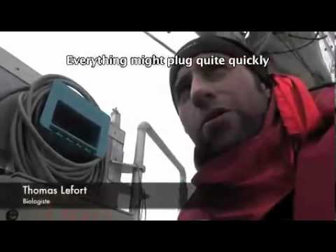 TARA OCEANS : Scientific sampling in polar regions