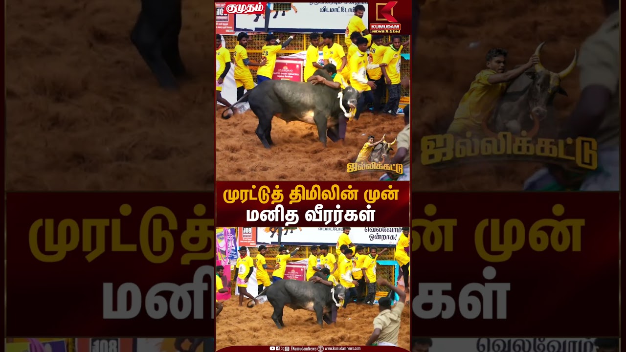 முரட்டுத் திமிலின் 🐂 முன் மனித வீரர்கள் 💪🏻 | Palamedu Jallikattu | Pongal 2026 | Kumudam News