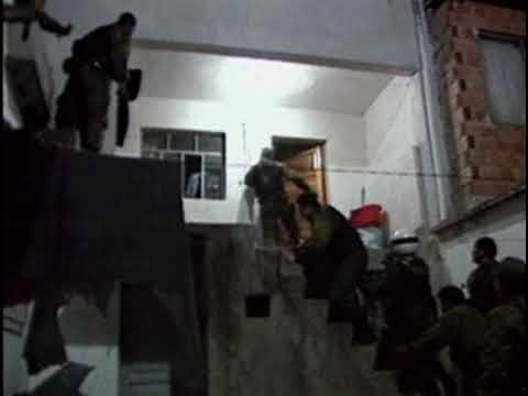 Bunny party arabic (slowed)