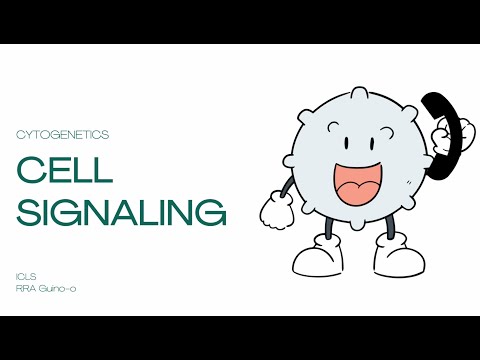 Cell Signaling | An Overview