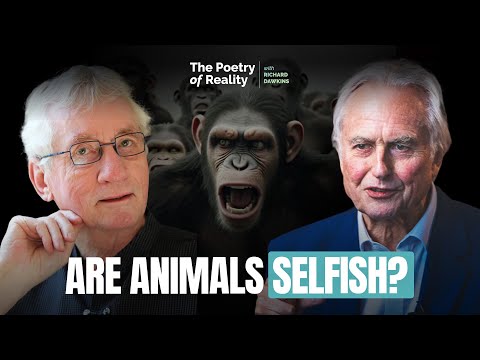 Do Primates Kill Each Other? Richard Dawkins talks to ethologist Frans de Waal