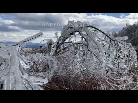 12-17-2022 Warm Springs, VA - Ice Storm Aftermath and Insane Accumulation