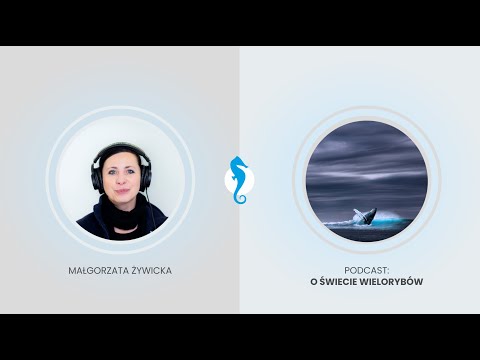 W ŚWIECIE WIELORYBÓW || Podcast Wielo-Ryby, odc. 2.