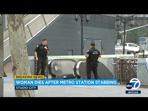 Shocking Stabbing Incident on Los Angeles Metro Train