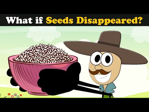 What if Seeds Disappeared? + more AumSum Videos | #aumsum #kids #science #education #whatif