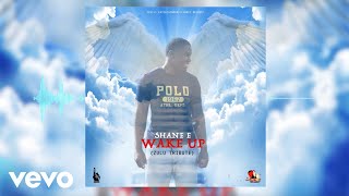 Shane E - Wake Up (Zulu Tribute)