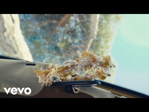 Il Mio Colore Preferito - Alfa