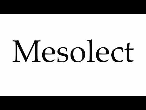 How to Pronounce Mesolect