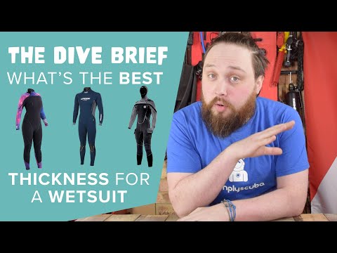 What's The Best Thickness For A Wetsuit? | The Dive Brief