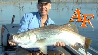 Fishing Video Big Barramundi Fish Peter Faust Dam North Queensland Australia Andysfishing EP.13